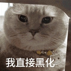 你养的是啥猫呀田园猫哦就是一只土猫